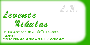 levente mikulas business card